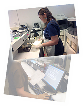 PL’s staff of ASCP certified histotechnologists