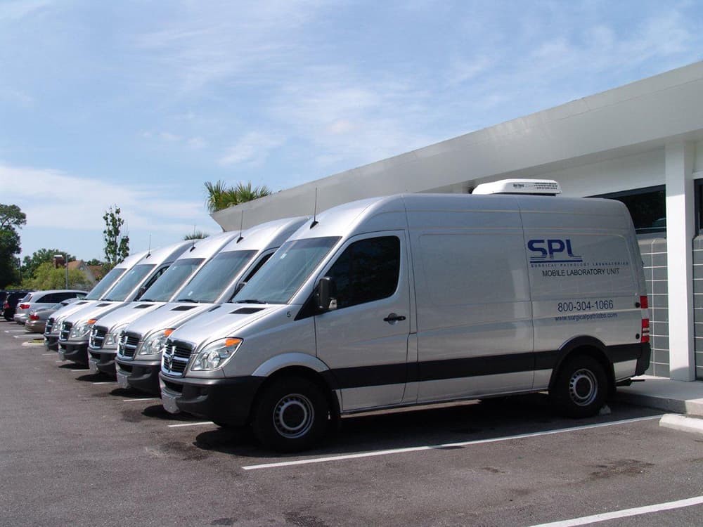 Fleet of white vans parked outside.
