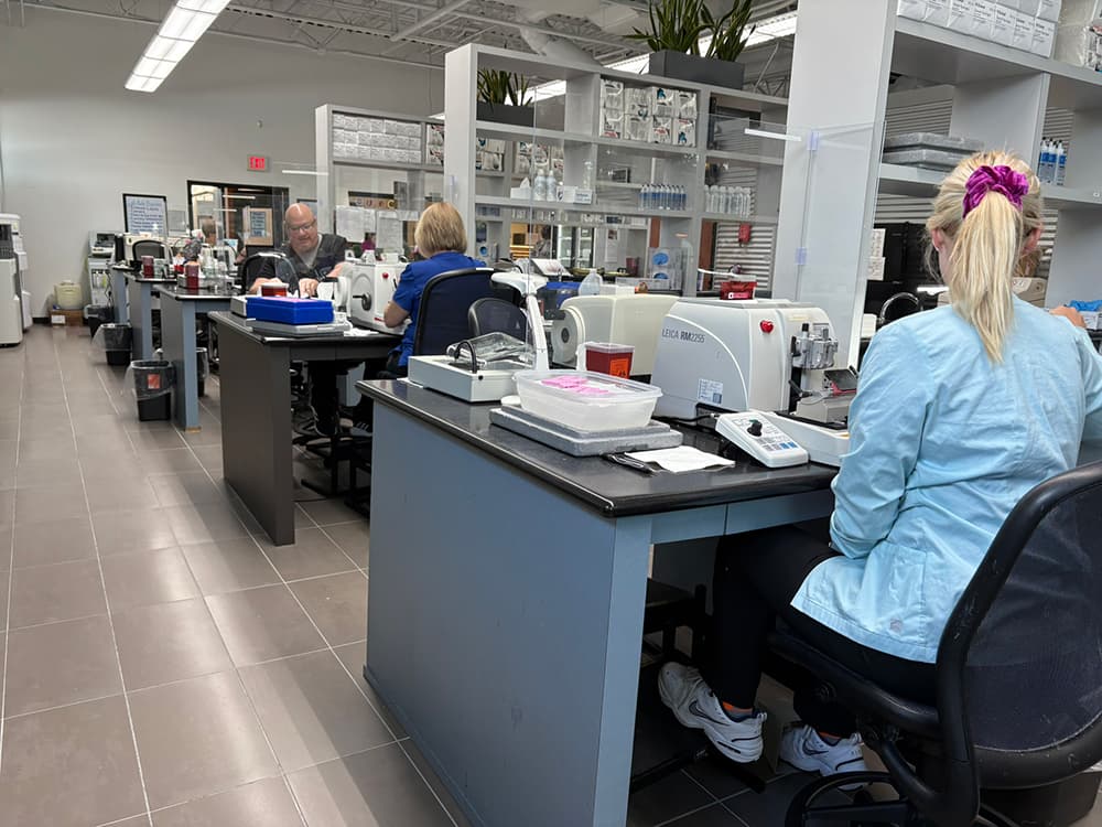 A lab room with rows of tables and shelves and people working at each of the tables.