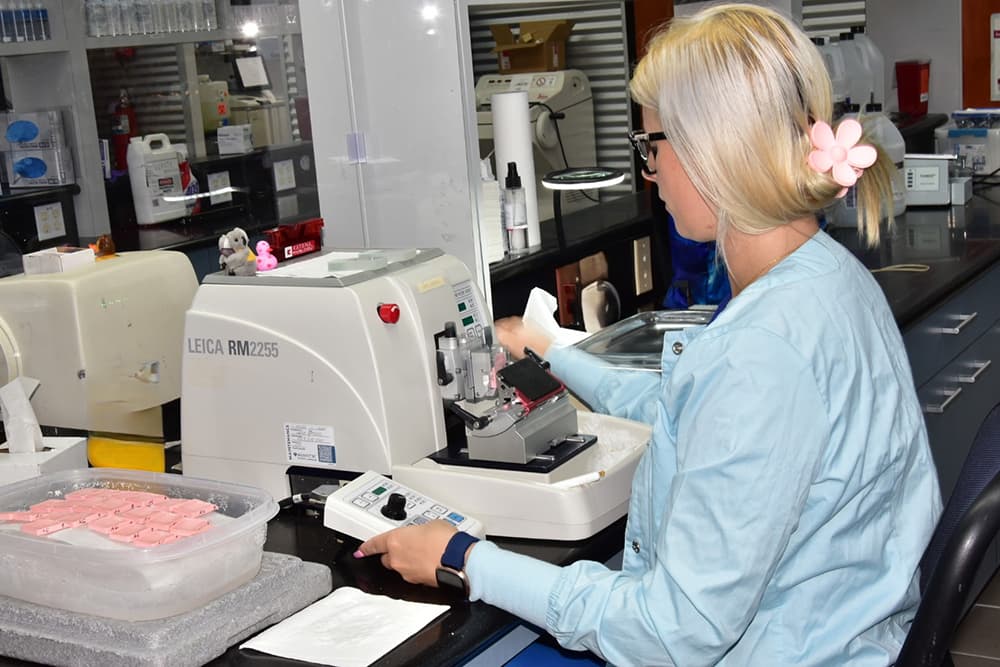 A woman with her hair tied up with a pink flower bow sitting at a table working on a machine that says LEICA RM2255 on the side of it.