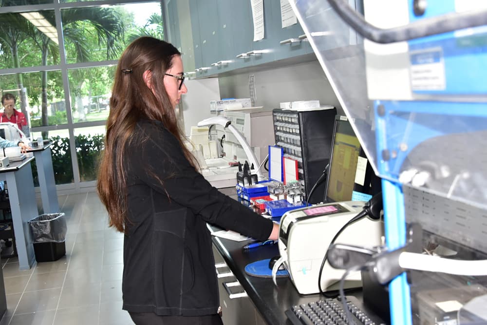 A woman standing at a computer working with large floor to ceiling windows behind her and palm trees outside.
